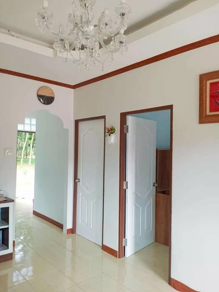 صورة المقال