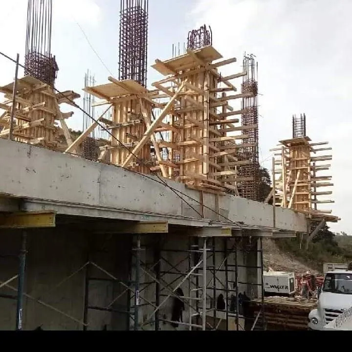 صورة المقال