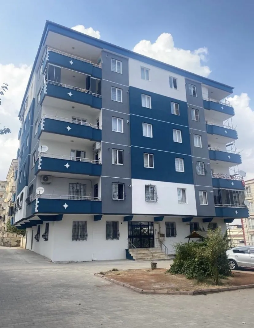 صورة إضافية