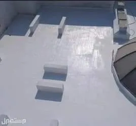 صورة المقال